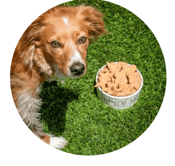 Peanut Butter Dog Treats